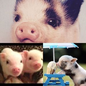 Meet your Posher, Alexandra